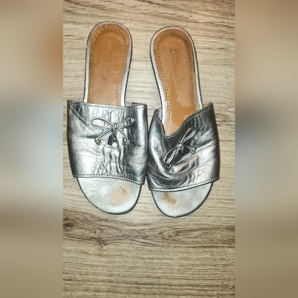 Silver Coach Slides/ Gold Slides